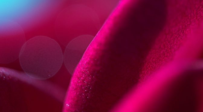 MS&ADゆにぞんスマイルクラブの助成団体2019に採択されました