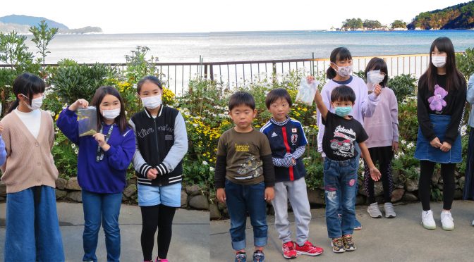 宇宙へ行くハマギクの種採取、岩手県大槌町