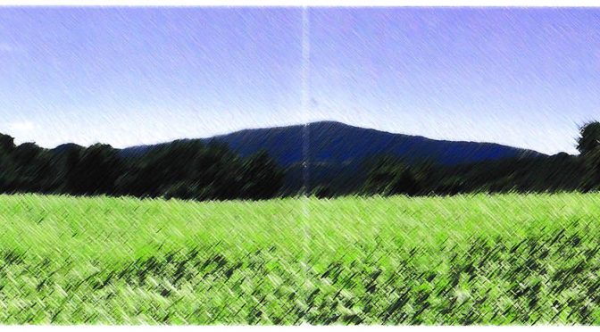 幻の宇宙蕎麦完成、福島県川俣町で