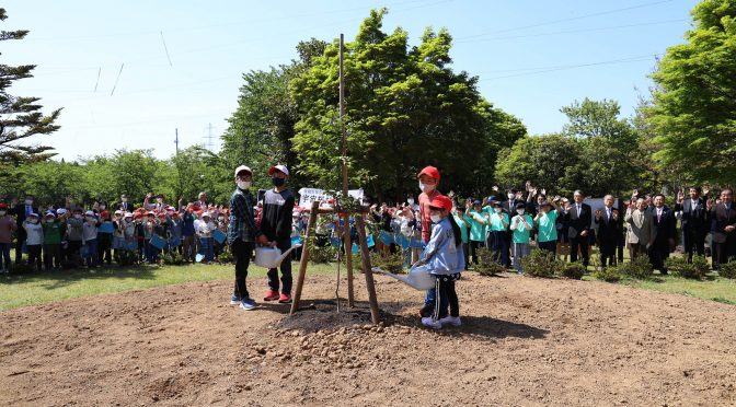 糸魚川市に、きぼうの桜