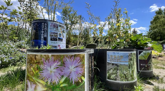 宇宙ミッションの成果を全国都市緑化フェアに出展しました