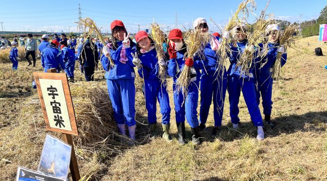 宇宙古代米を小学生が稲刈り！多賀城市