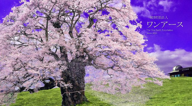 双葉町・大熊町に、きぼうの桜が！
