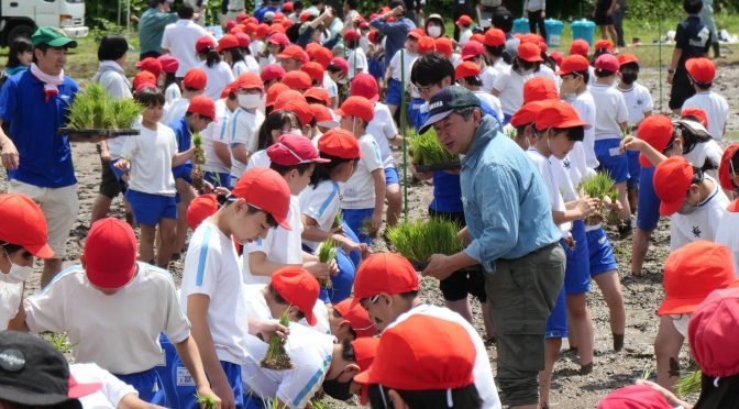小学生550人が宇宙古代米の田植え！ 多賀城市の全小学校が参加