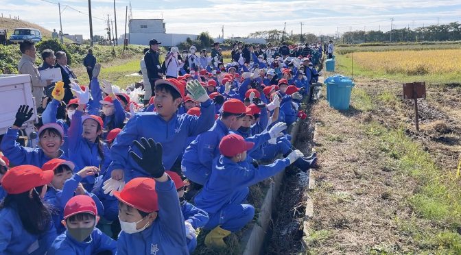 小学生550人が宇宙古代米の稲刈り・多賀城市